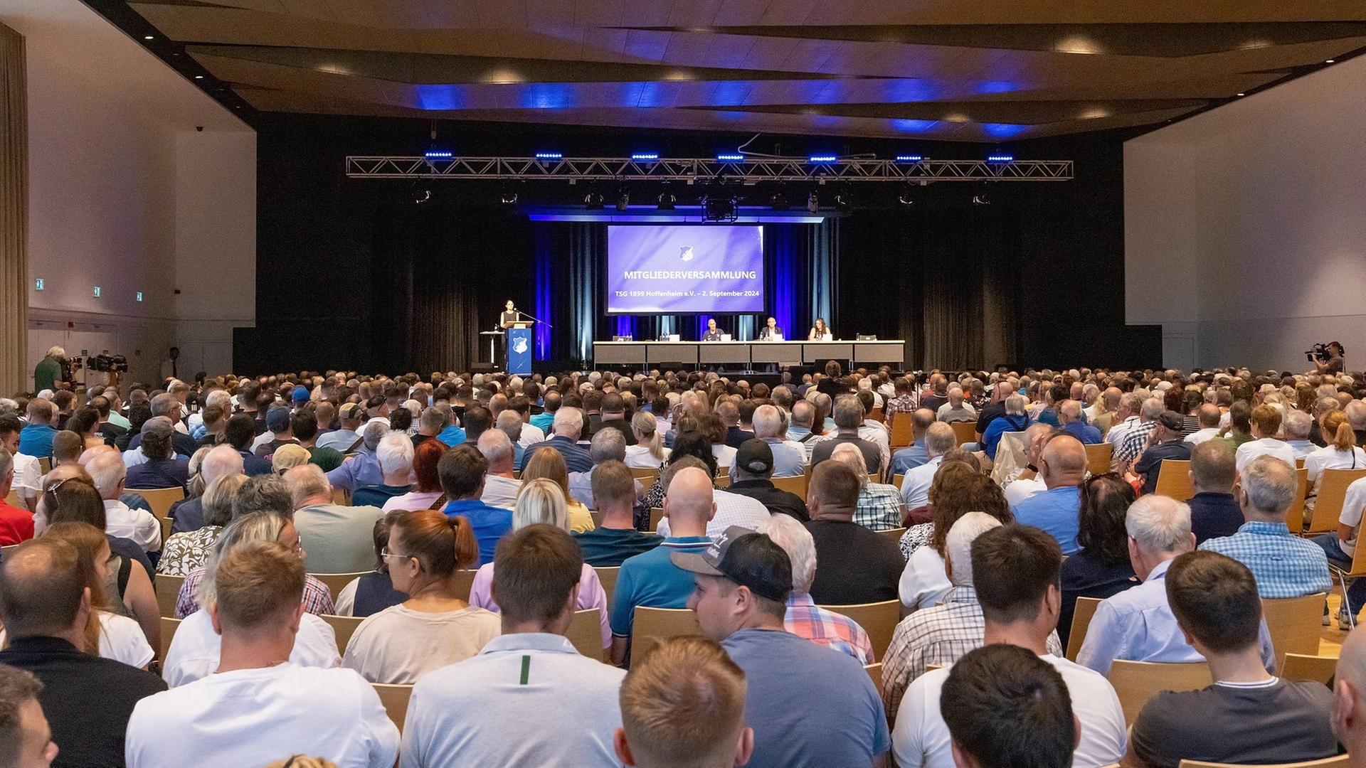 TSG Хоффенхайм выбирает нового президента