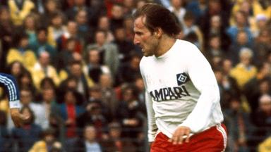 Hamburger sv tore - Der Vergleichssieger unserer Produkttester