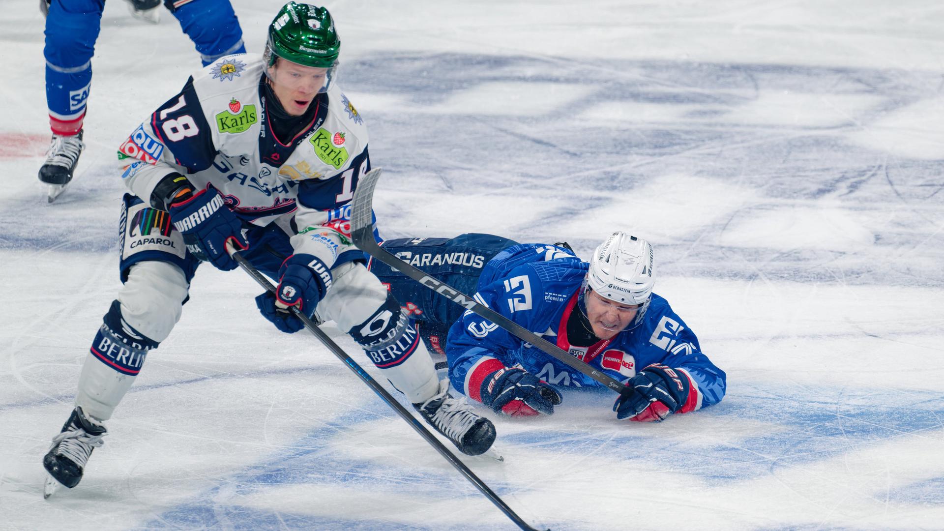 Ab 19.30 Uhr live - Krönung für die Eisbären schon heute?