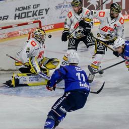 Adler Mannheim gegen Krefeld Pinguine