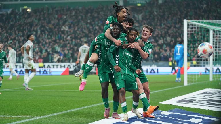 Oyoq va mushuk surati