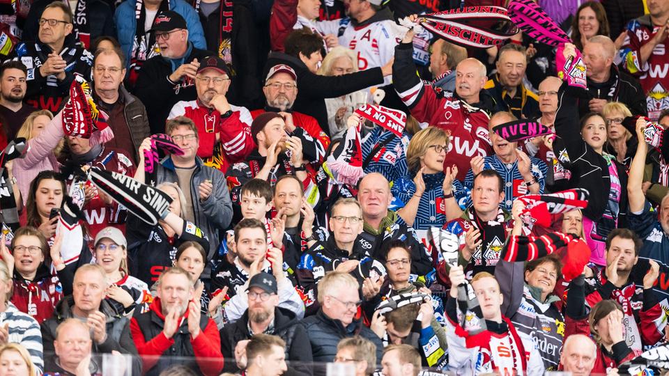 Mitfiebern mit den Fischtown Pinguins: 4.000 Fans unterstützten das Team in der Eisarena Bremerhaven. | Penny DEL / City-Press GmbH Eishockey-Fans der Fischtown Pinguins zittern auf der Tribüne während eines Finalspiels gegen die Eisbären Berlin mit.