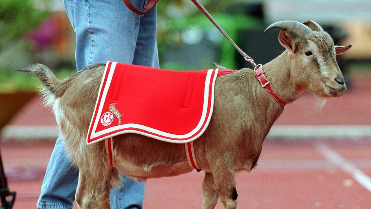 Historie: Als Kölns Hennes gegen Wolfsburg Stadionverbot hatte ...