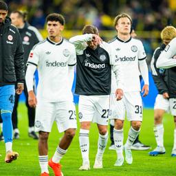 Sport-Themen aus der Region