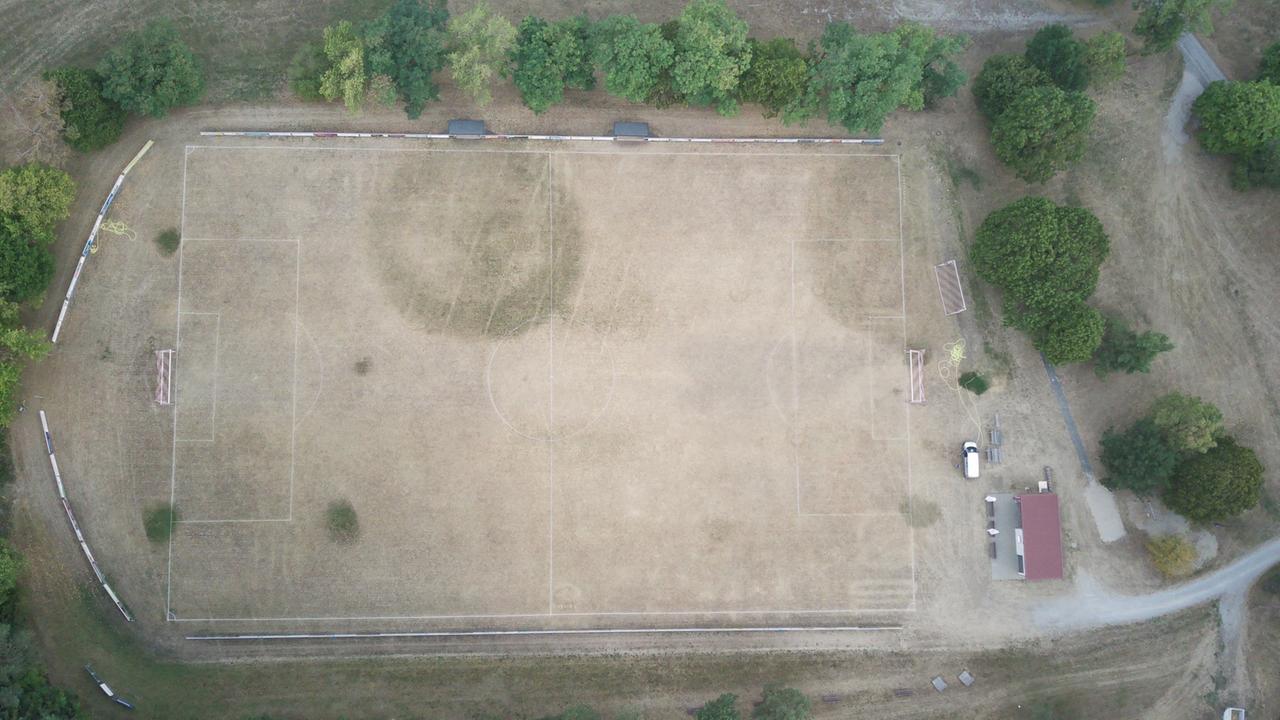 Hitzegeschädigter Rasen: Fußballplätze in der Klimafalle