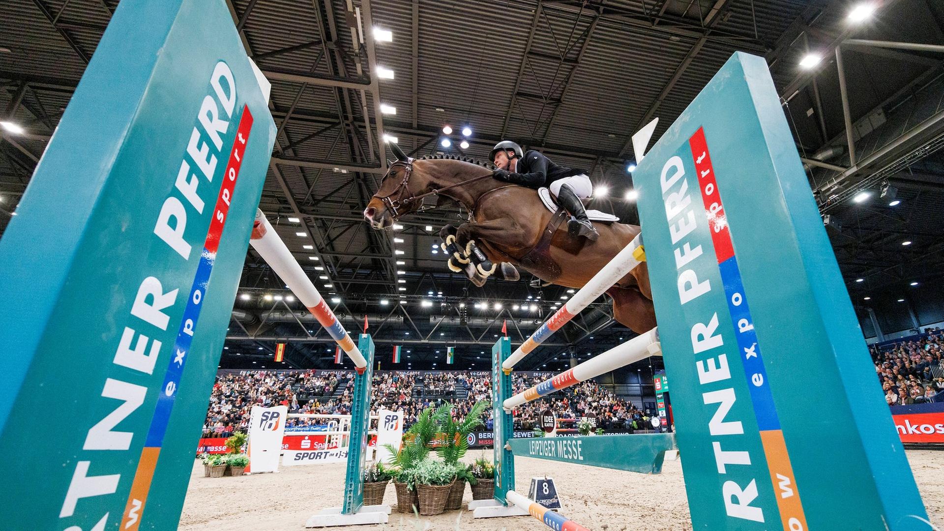 Partner Pferd, Championat von Leipzig | IMAGO / Stefan Lafrentz