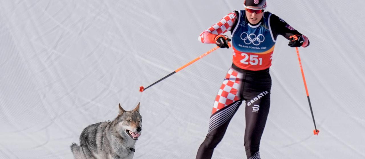 Langläuferin Tena Hadzic wird von einem Wolf begleitet