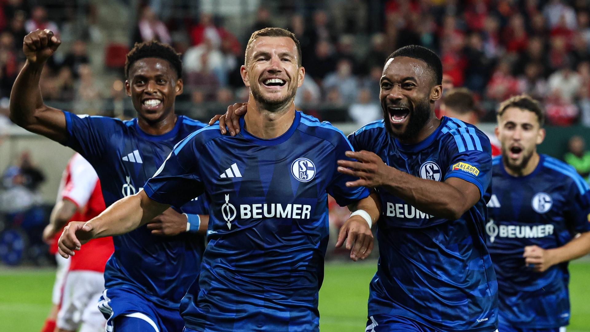 Schalkes Edin Dzeko bejubelt seinen Treffer mit den Teamkollegen | IMAGO / Christian Schroedter