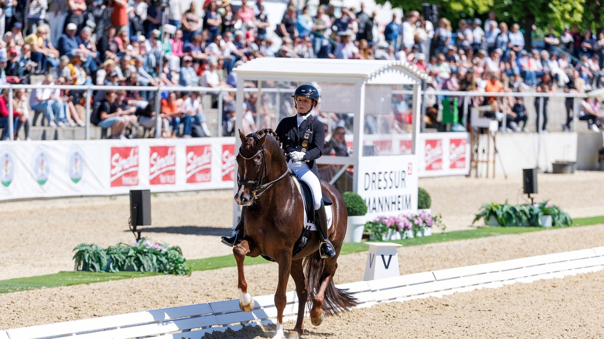 Isabell Werth triumphiert erneut in Mannheim | IMAGO, Stefan Lafrentz