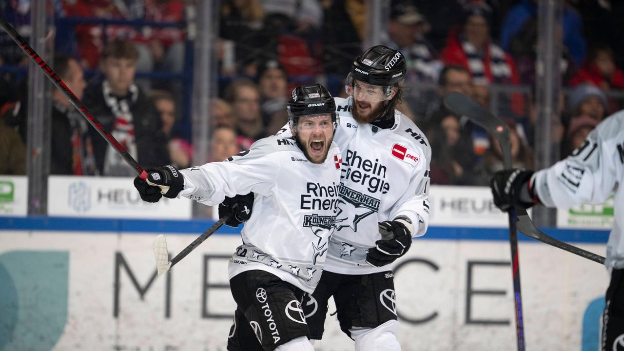 effiziente-haie-bauen-tabellenf-hrung-aus