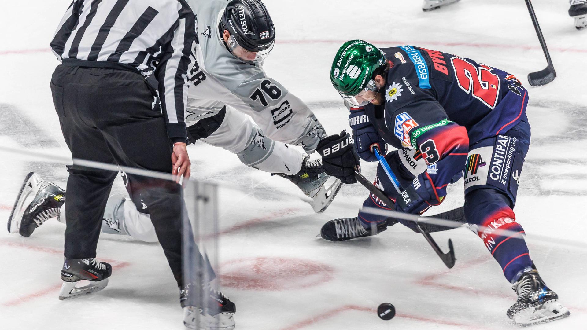 DEL-Playoffs: Berlin gegen Köln - der Live-Ticker