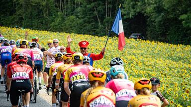 Die Fahrerinnen der Tour de France Femmes neben einem Sonnenblumenfeld