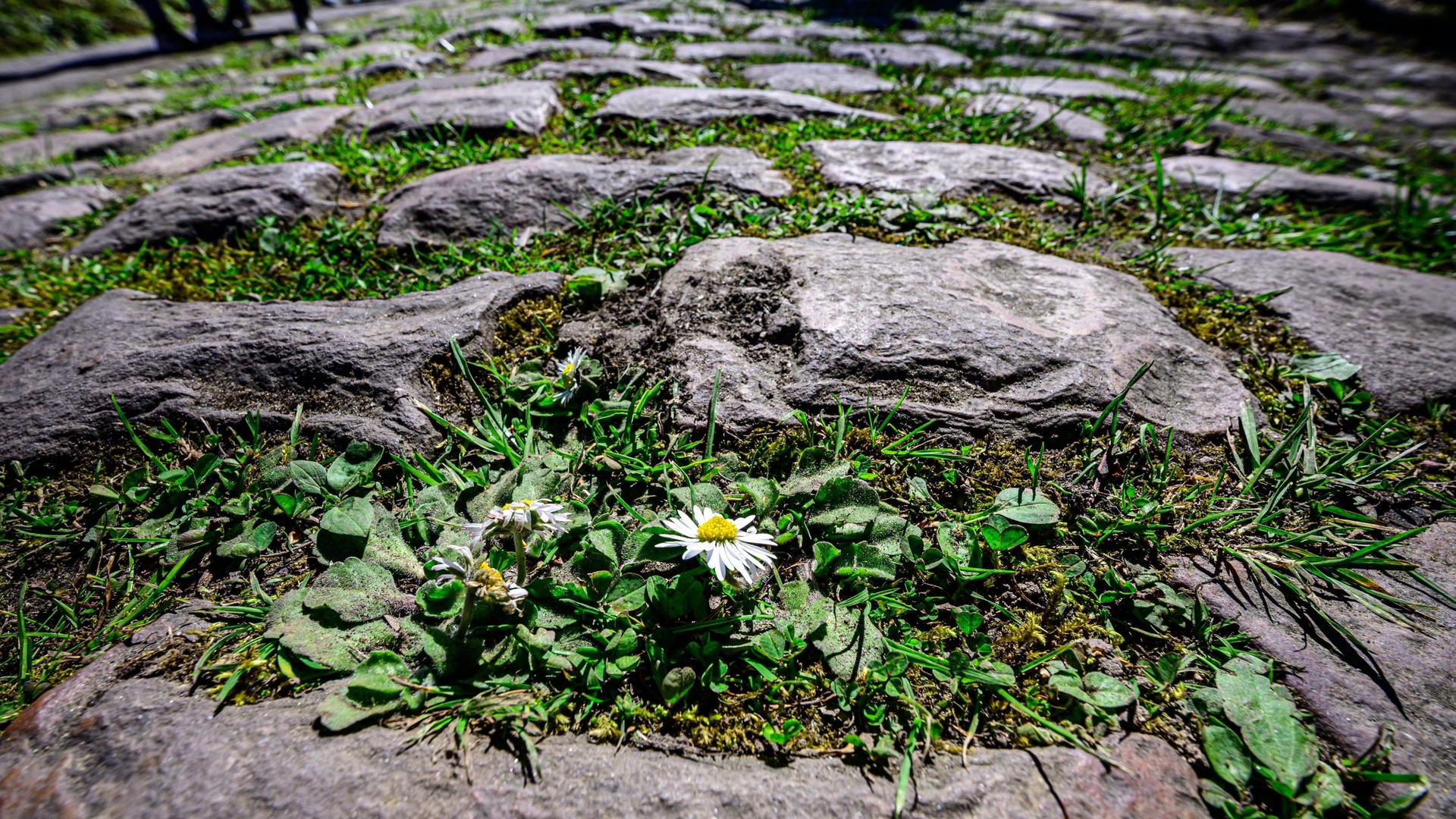 Ein Tag in der "Hölle des Nordens"