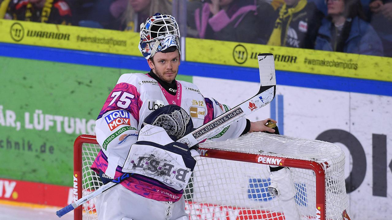 Wie die Eisbären dem Trainer-Orakel bisher trotzen