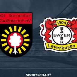 Logo SG Sonnenhof Großaspach gegen Bayer Leverkusen