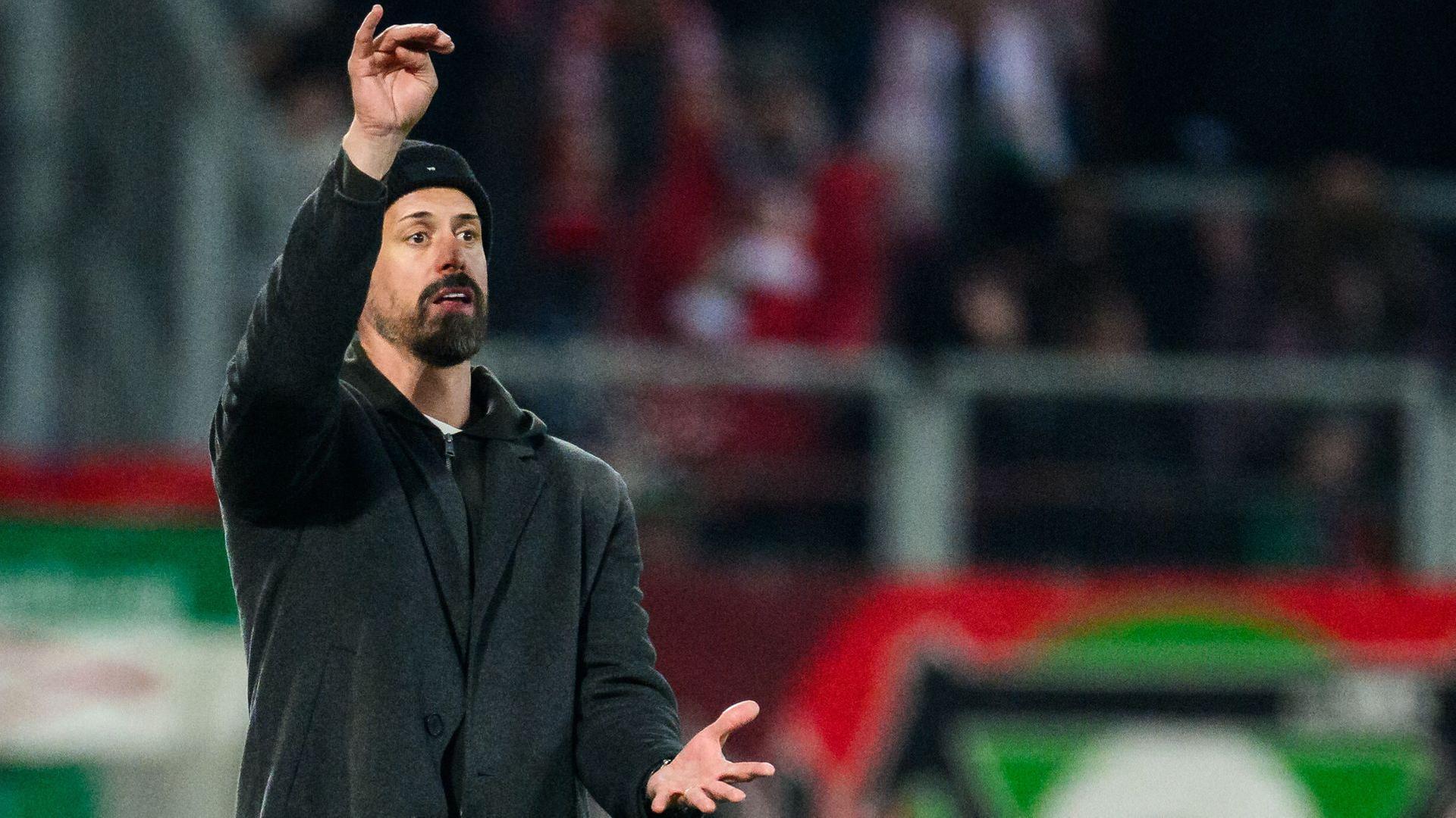 Sandro Wagner | picture-alliance / dpa