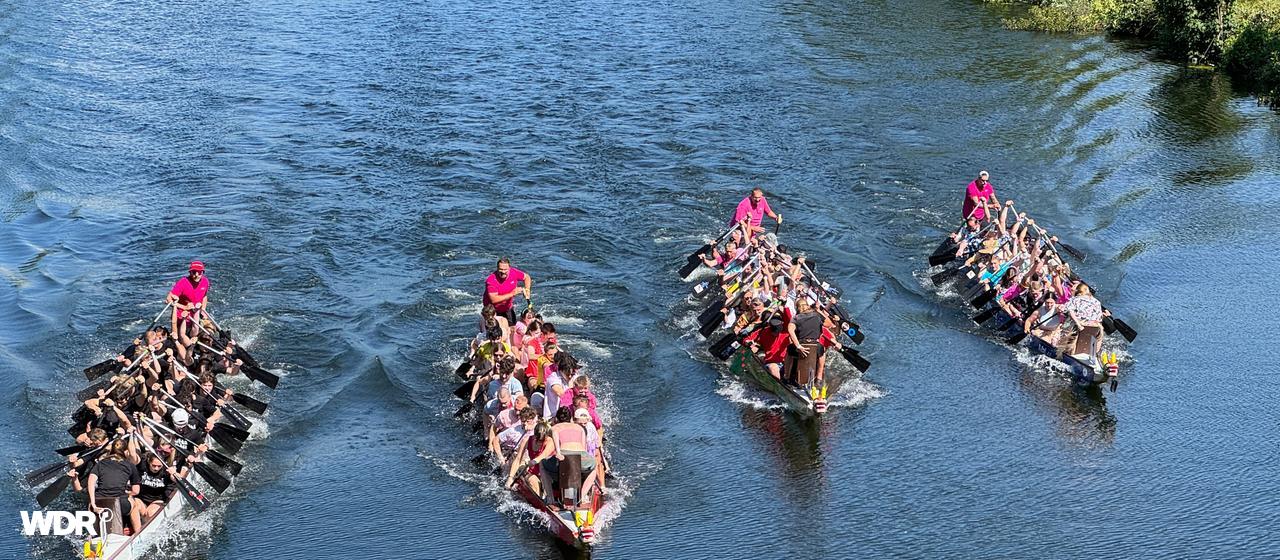 Vier Drachenboote sind auf einem Fluss und die Mannschaften rudern um die Wette.