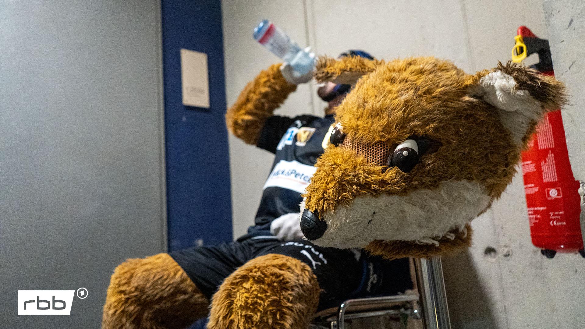 Füchse Berlin Maskottchen 19 | rbb / Huber Der Mann im Kostüm des Maskottchens der Füchse Berlin macht während Champions-League-Heimspiel der Berliner Handballer gegen Veszprem KC am 12.09.2024 kurz eine Trinkpause. (Quelle: rbb / Huber).
