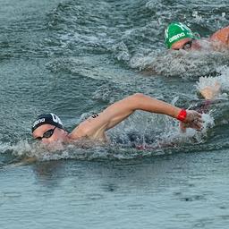 Freiwasserschwimmen der Männer