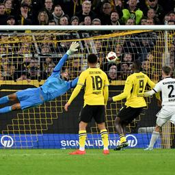 Sport-Themen aus der Region