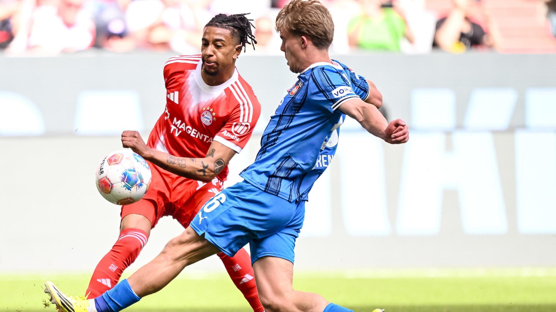 Bayern Münchens Michael Olise (l.) flankt im Bundesliga-Spiel gegen den 1. FC Heidenheim | dpa/Langer
