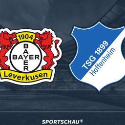Logo Bayer Leverkusen gegen 1899 Hoffenheim