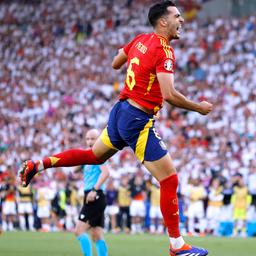 Merino Mikel in Aktion 