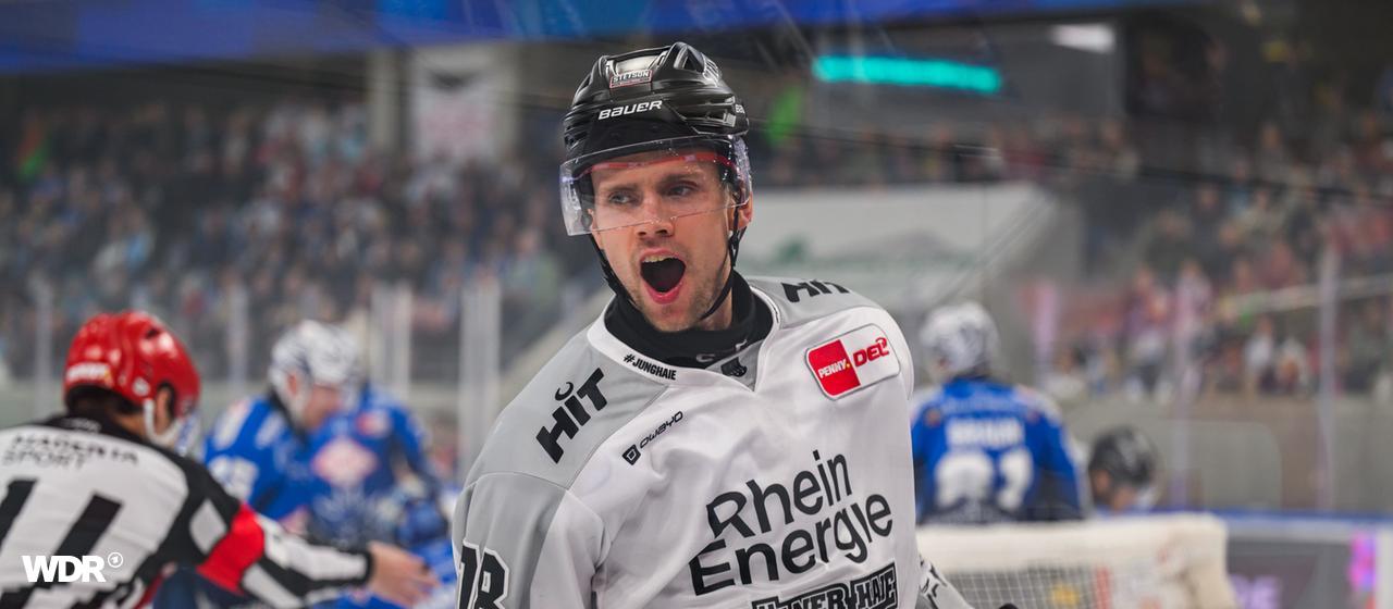 Dominik Bokk von den Kölner Haien bejubelt seinen Treffer gegen die Dresdner Eislöwen. | dpa Dominik Bokk von den Kölner Haien bejubelt seinen Treffer gegen die Dresdner Eislöwen.