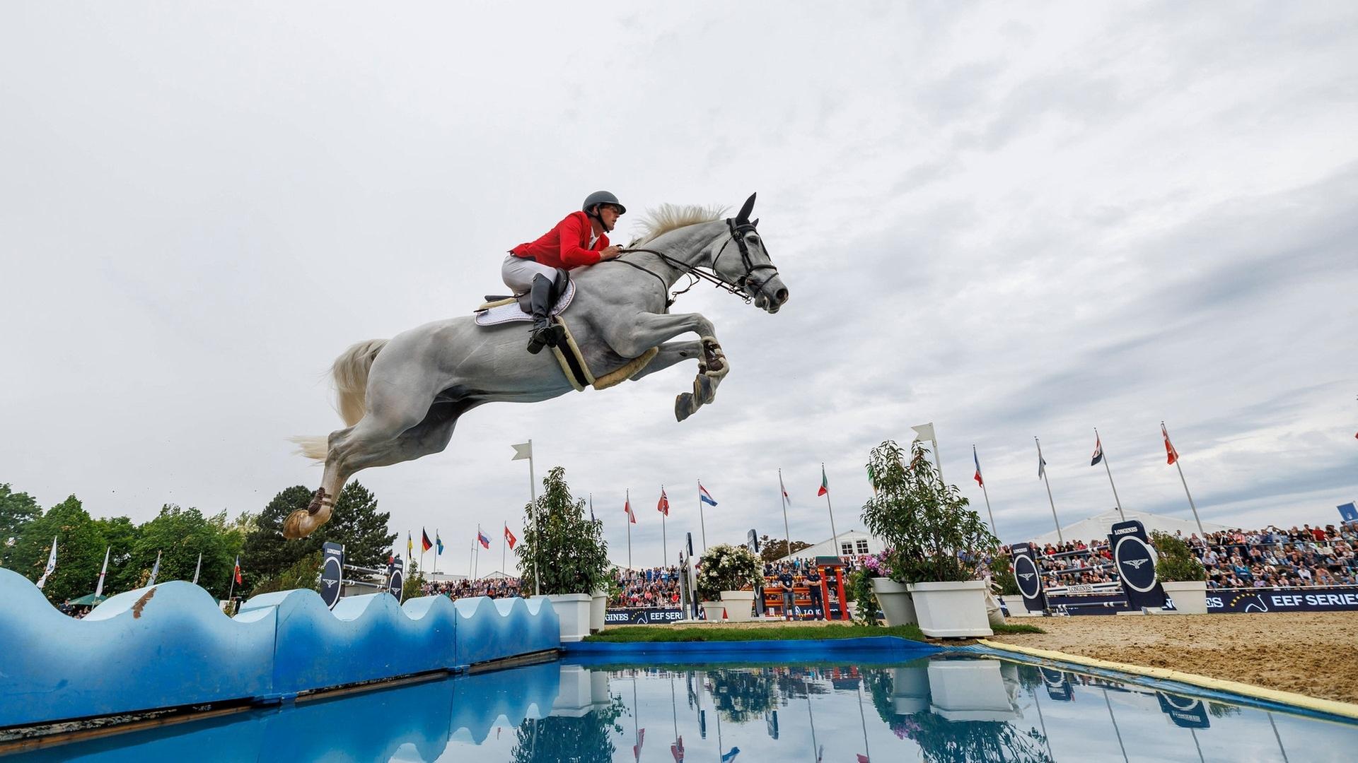 Immer weniger Turniere in Deutschland: Reitsport in der Krise?