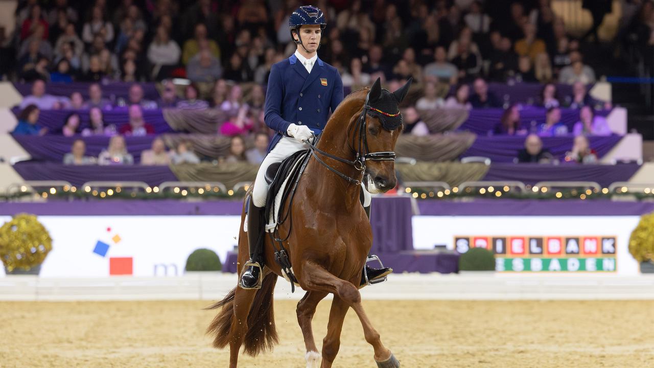 Livestream-Pferdesport-Die-Dressur-beim-Festhallen-Reitturnier