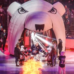 Einlauf der Berliner Eisbären