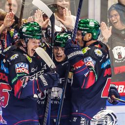 Die Eisbären Berlin bejubeln einen Treffer gegen Dresden (picture alliance/dpa | Andreas Gora)