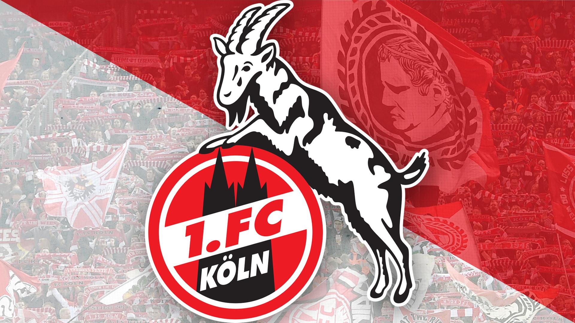 1. FC Köln: News, Ergebnisse & Spielplan des 1. FC Köln