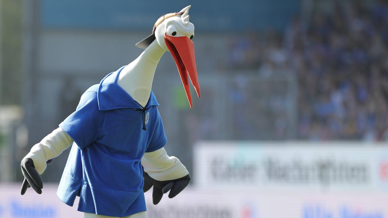 Maskottchen von Holstein Kiel | imago/HMB-Media/Fernando Soares