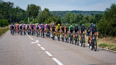 Das Peloton der Tour de France Femmes